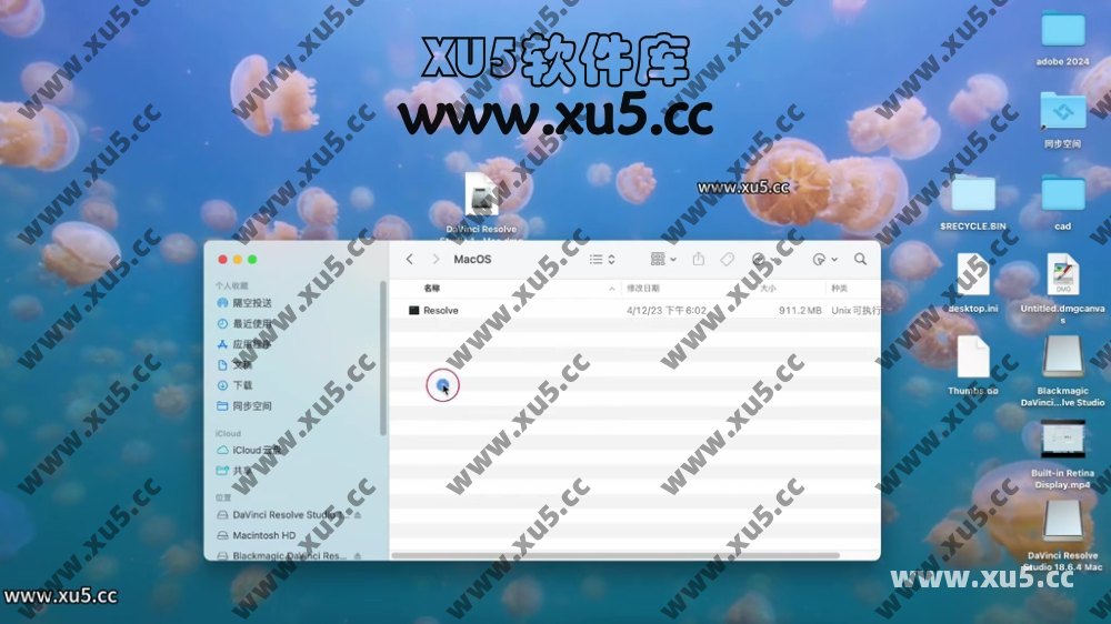 达芬奇18.4 MAC系统安装使用教程.mp4_20240707_154346.957.jpg 达芬奇18.6 for MAC 图文安装教程