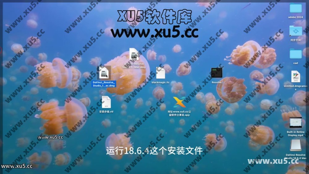 达芬奇18.4 MAC系统安装使用教程.mp4_20240707_154222.564.jpg 达芬奇18.6 for MAC 图文安装教程