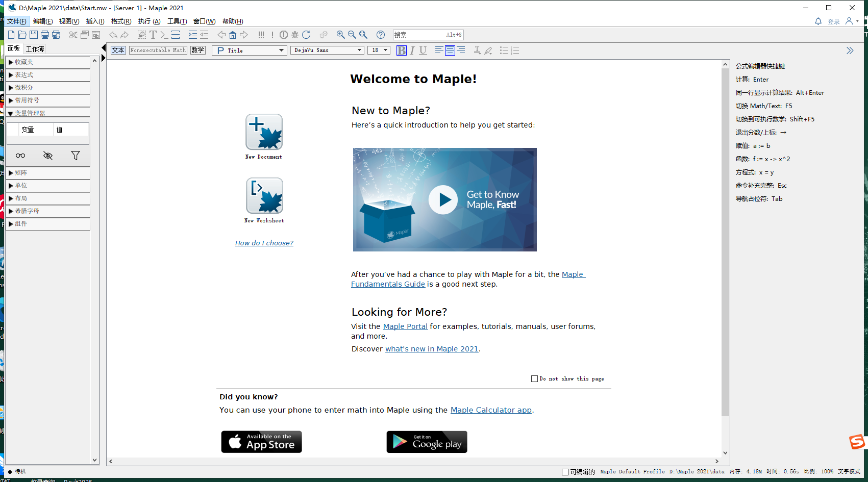 Maple 2021计算结果展示界面