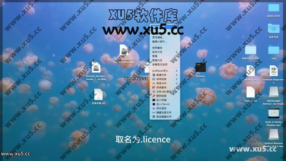 达芬奇18.4 MAC系统安装使用教程.mp4_20240707_154752.508.jpg 达芬奇18.6 for MAC 图文安装教程