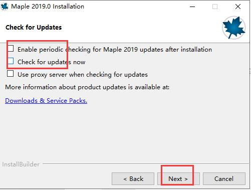 Maple 2019启动界面截图