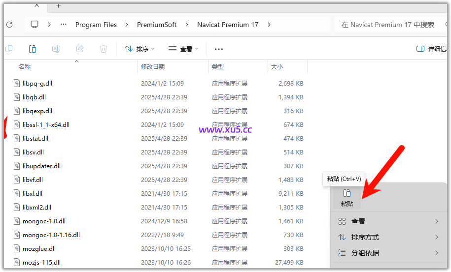 Navicat Premium v17.2.5图文安装教程及完整版下载指南 - 图片4
