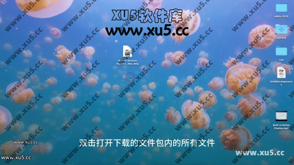 达芬奇18.6 for MAC 图文安装教程 完整版软件安装指南