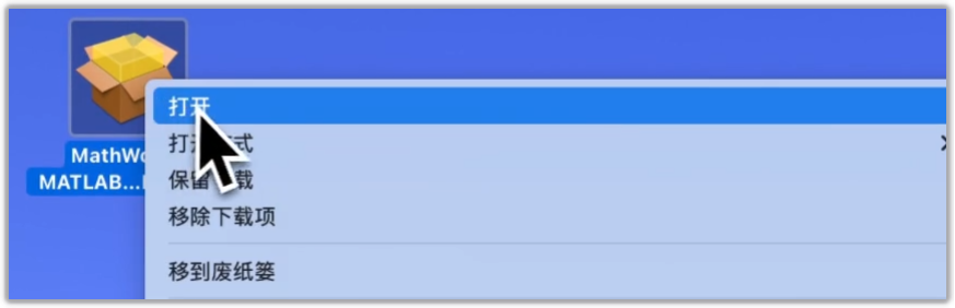 mac版MATLAB 2025a图文安装教程 完整版安装指南 - 图片15