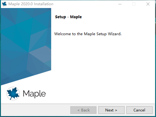 Maple 2020 下载选项界面截图